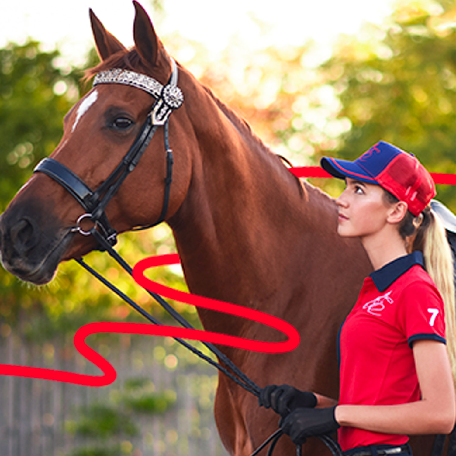 Case Study: Generating 6.06x returns for horse apparel brand Peter Williams