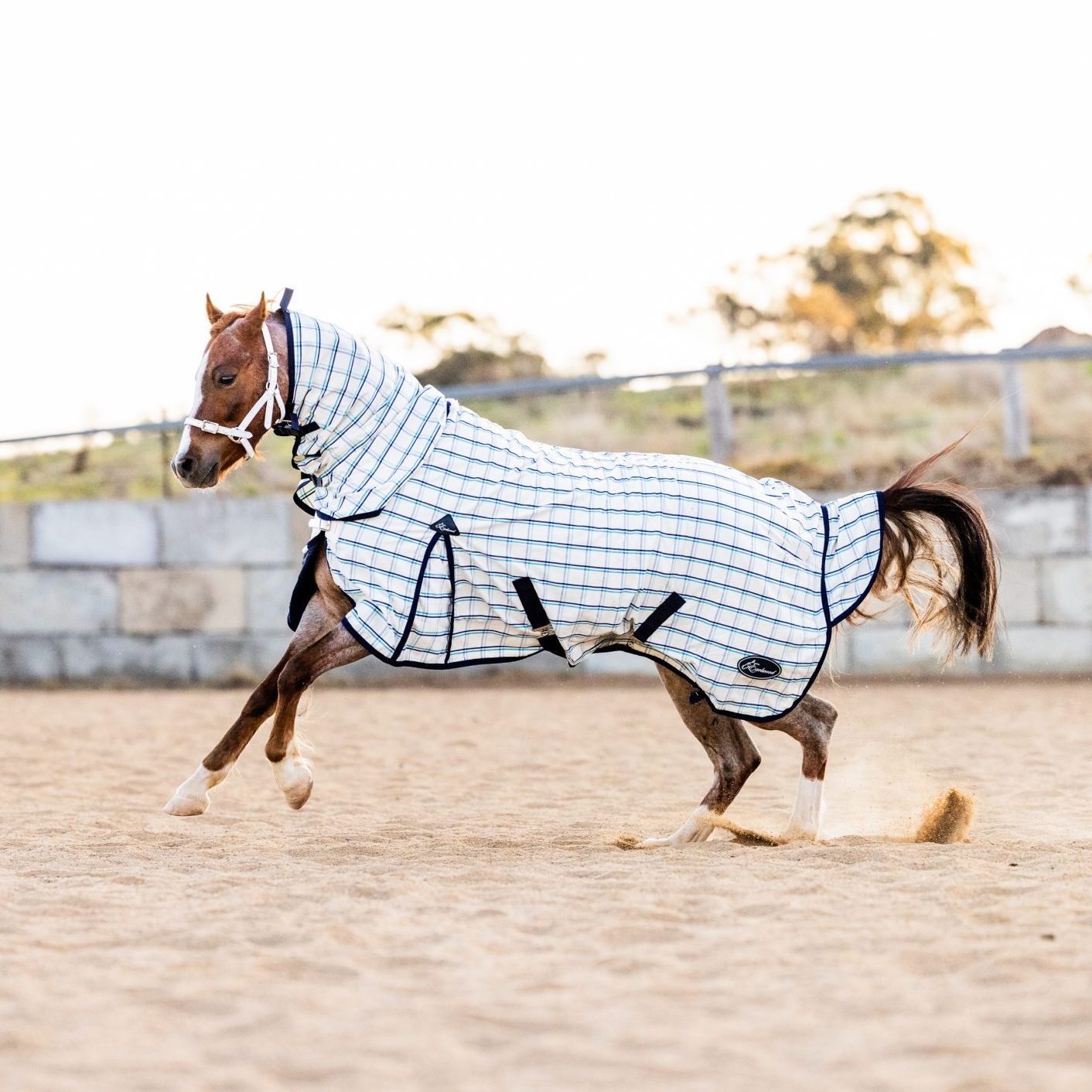 Case Study: Scaling with Earlwood Equine, an Extra $33k in Sales in one Month